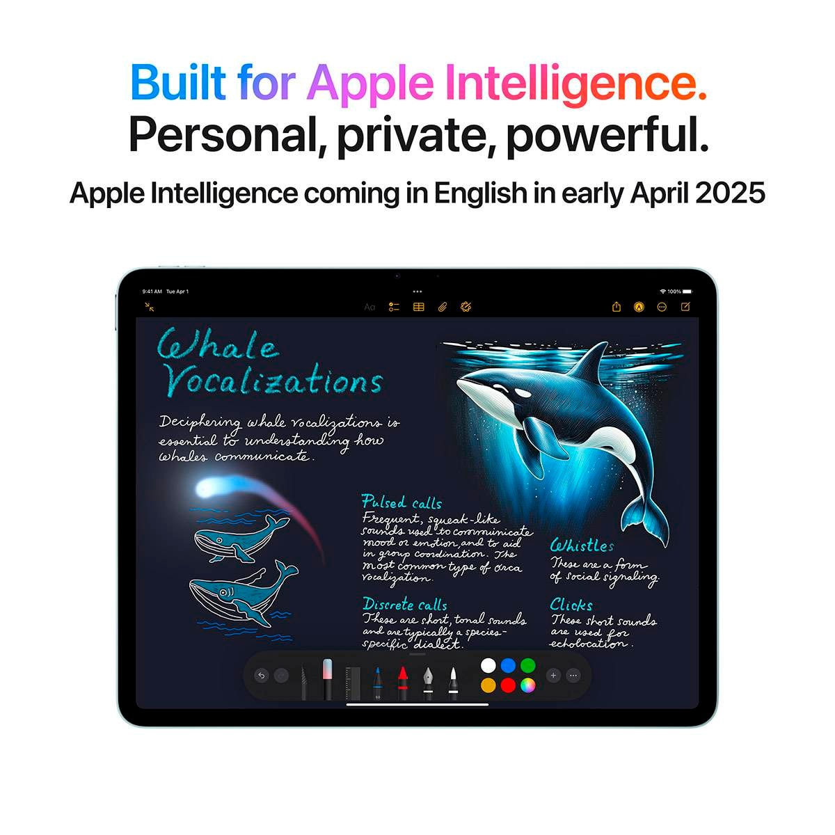 Product gallery prod_01KTKCK8BGVNBBSFBPGQPDV3DH-4