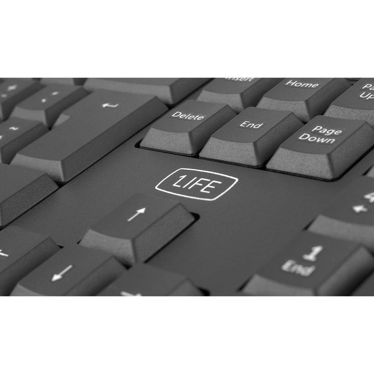 Product gallery prod_01KTKCD27DQ52YYZHVVN3WFCR3-1
