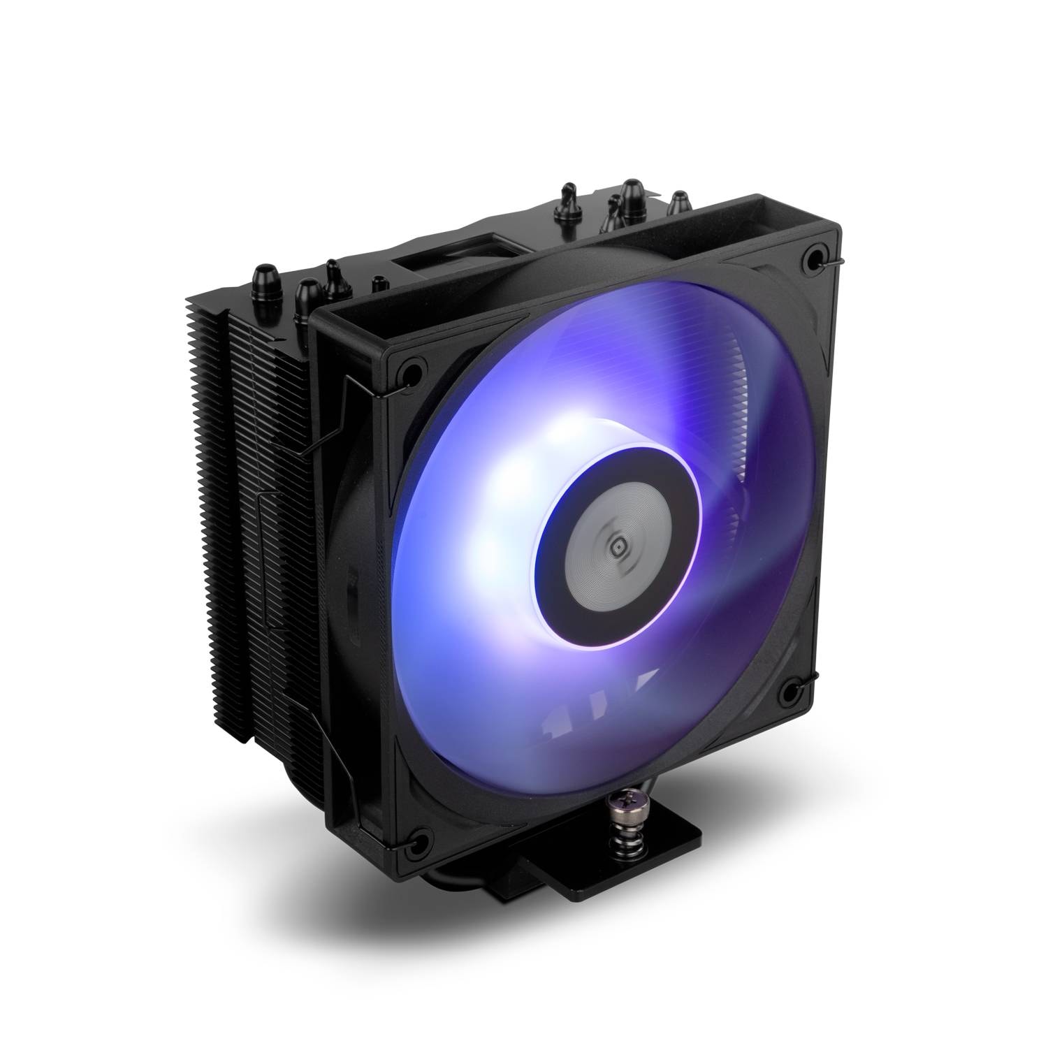Product gallery prod_01KTKCYSM1YKWXC796FGF1BXP1-2