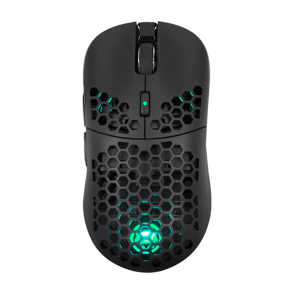 Product gallery prod_01KTKCFDXJCECAEB8KY8JB5A0X-0