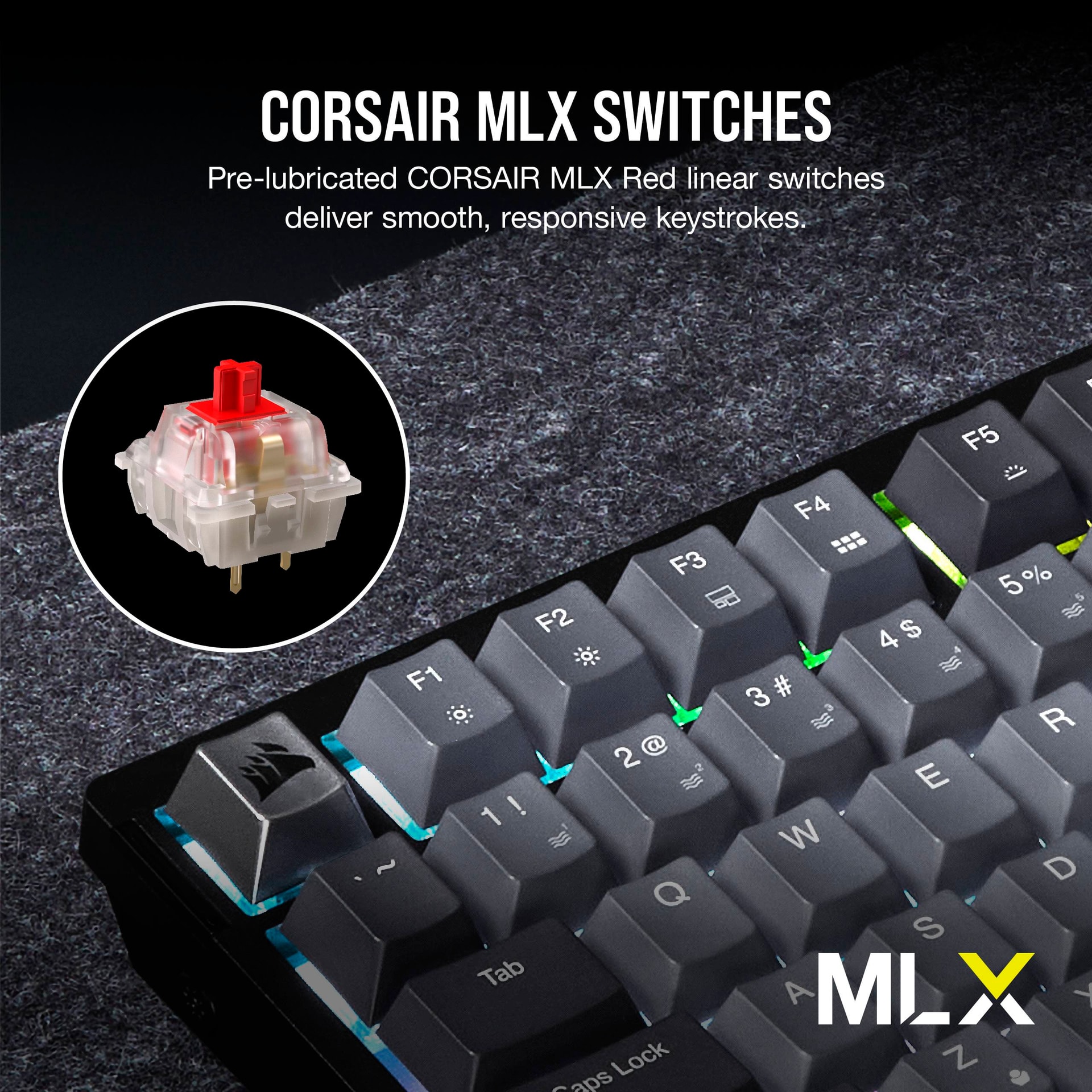 Product gallery prod_01KTKDJDXGZK6YK1M2KWTAWB5W-3