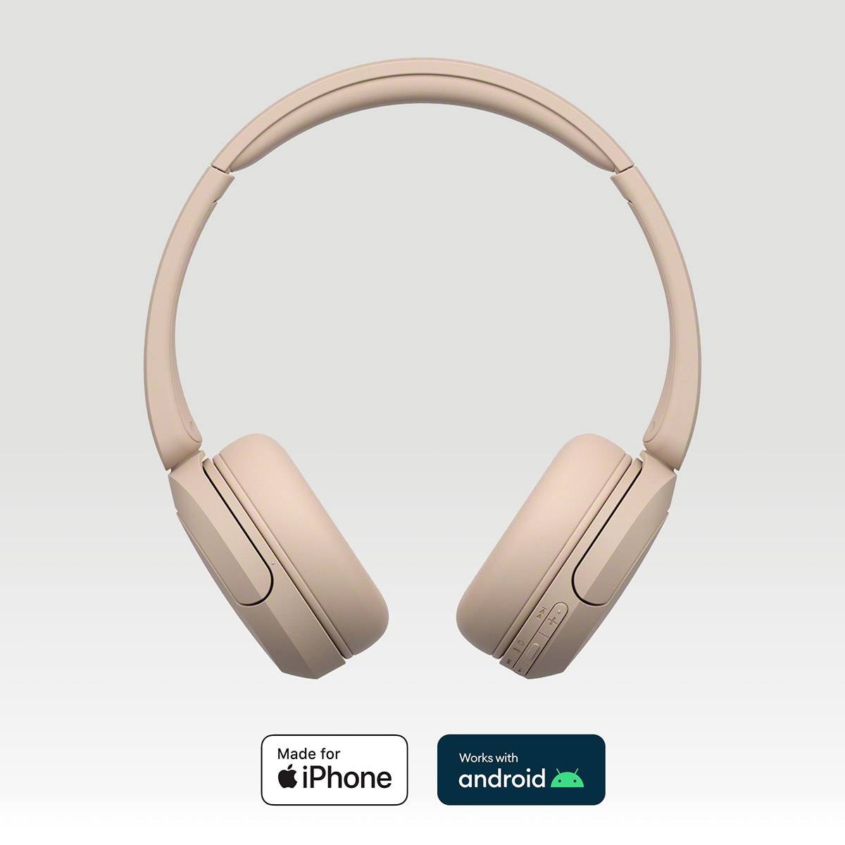 Product gallery prod_01KTKD3JB6J7FFG516PPAYPEKB-1