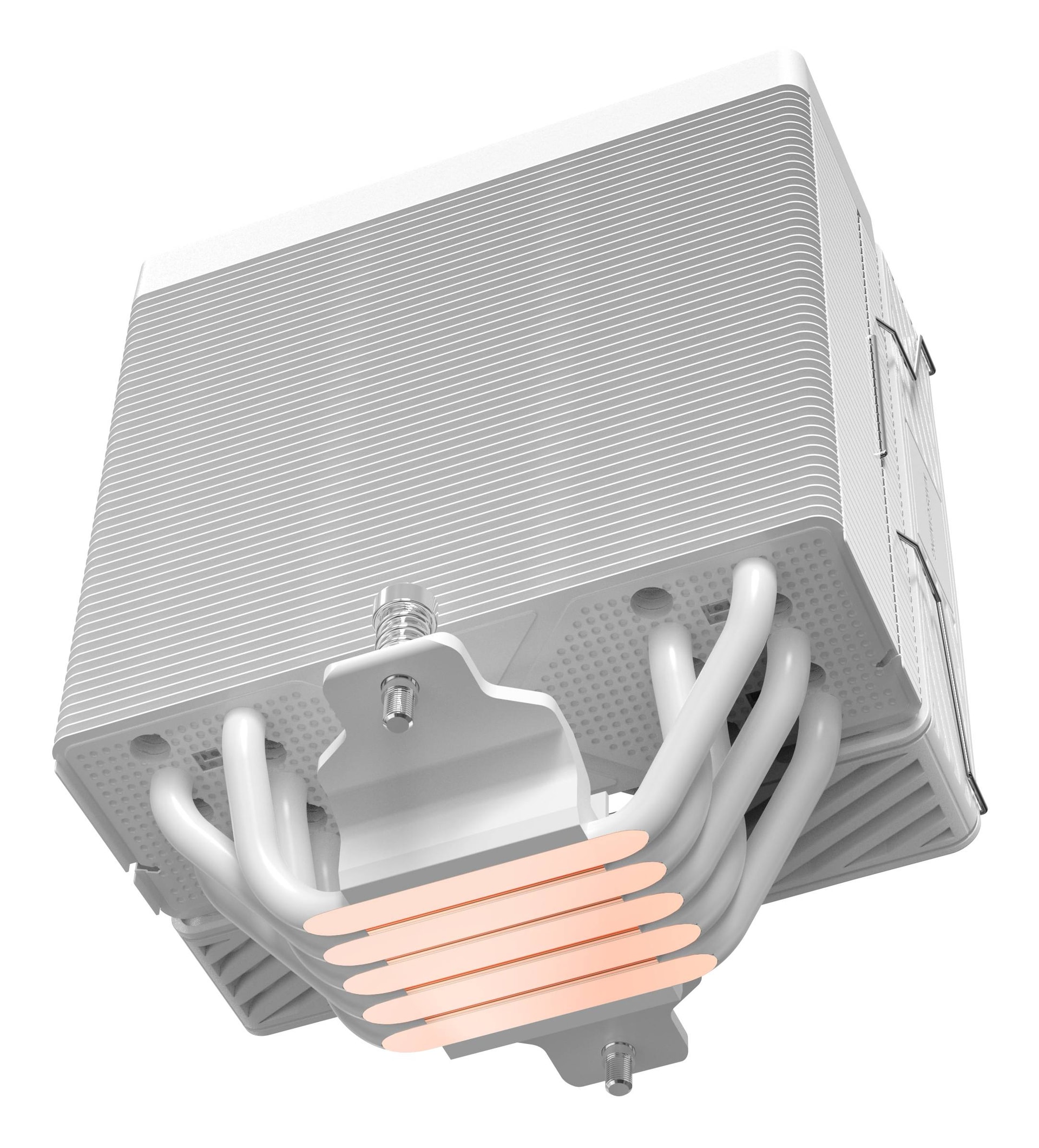 Product gallery prod_01KTKCT6KTEGFGVSFERY7PZXE4-3