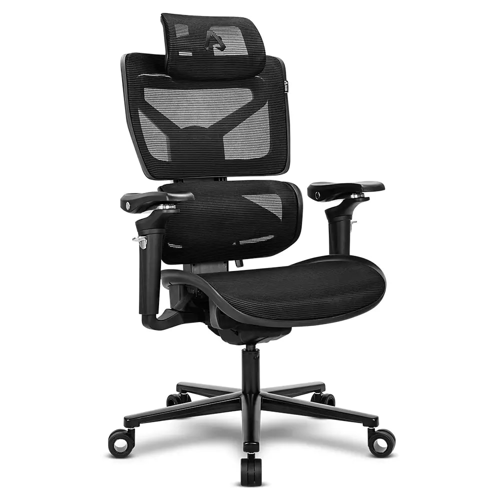 Product gallery prod_01KTKD1XMZRAQ62W9T02MDCHTV-0