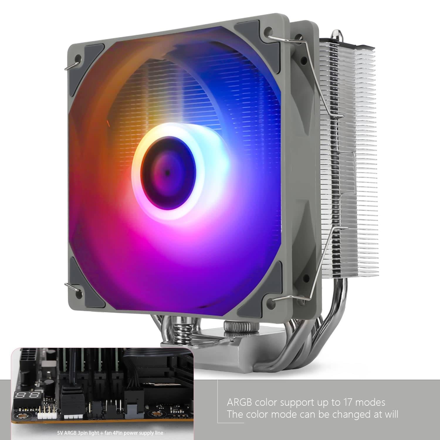 Product gallery prod_01KTKCM3HTXV87RZX85MD3PVD1-1