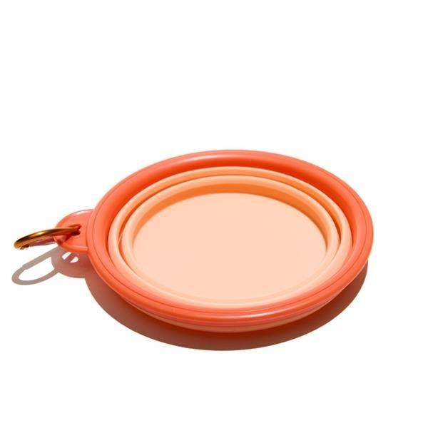Product gallery prod_01KTKDNYJQH0TBP20M6Q1Z73DW-1