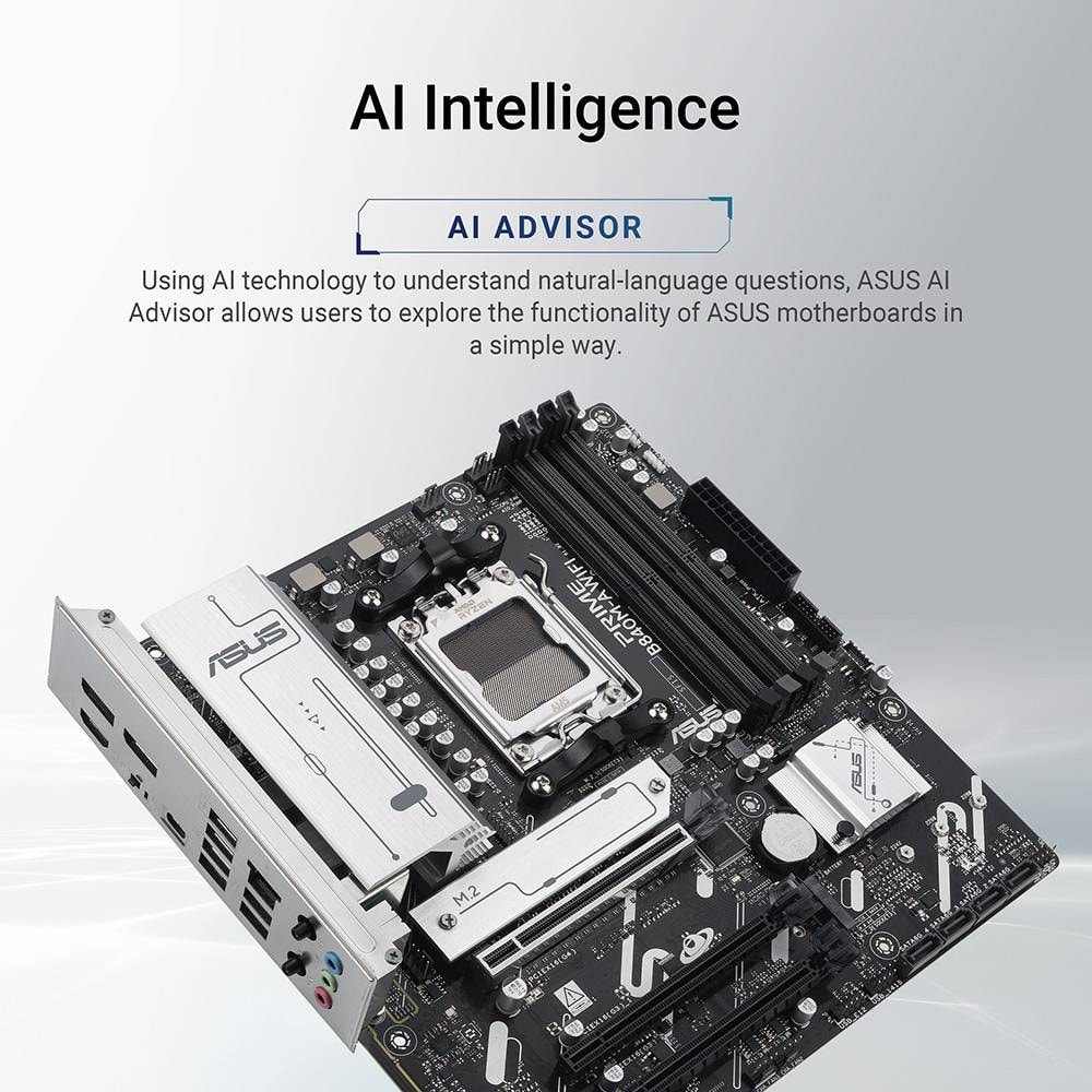 Product gallery prod_01KTKCG6W607SA6Z9DJ50Q79JH-1