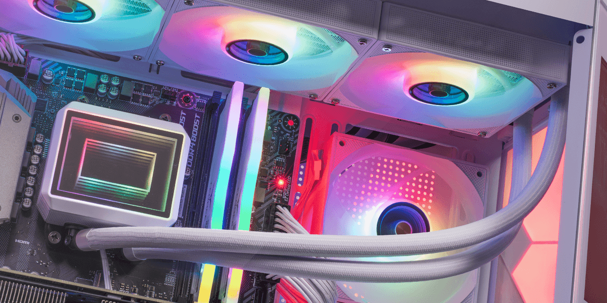 Product gallery prod_01KTKDM17YHXF5MB1VGP5CDZ9H-2