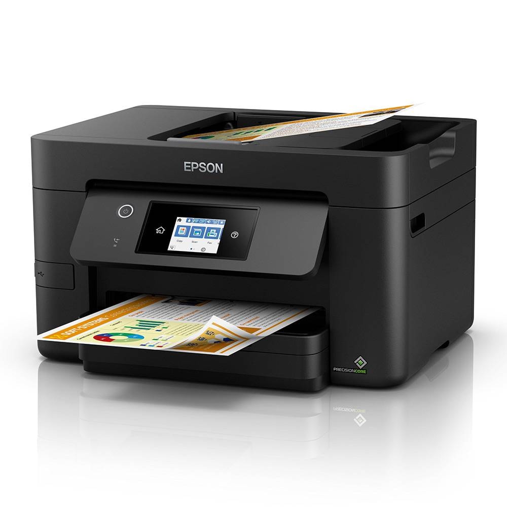 Product gallery prod_01KTKCA3F7EYQJQVN5MBSVKYFR-2