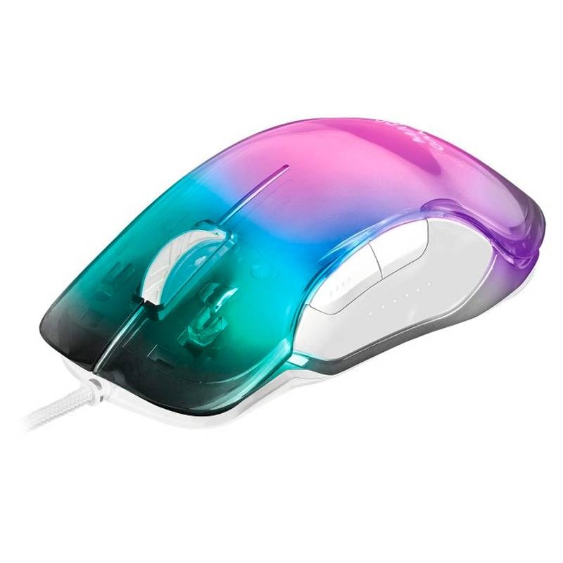 Product gallery prod_01KTKC1AN8045GT5XEX0CHXT6J-2