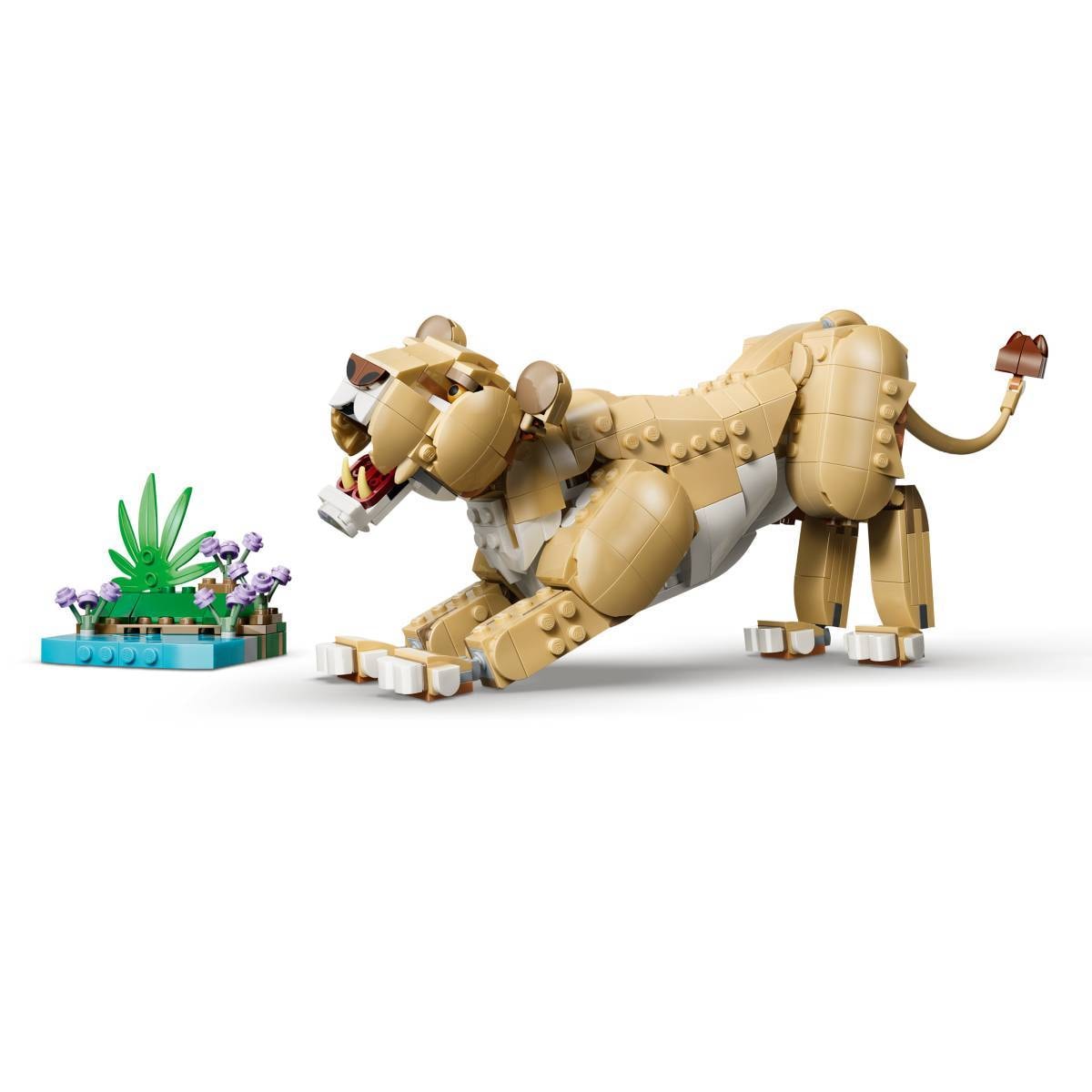 Product gallery prod_01KTKDQTJQ6SVZSKQZWRY43R5J-5