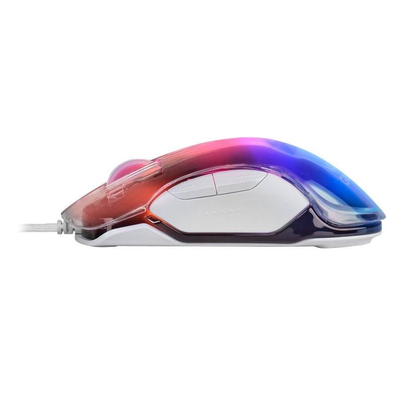 Product gallery prod_01KTKC1AN8045GT5XEX0CHXT6J-3
