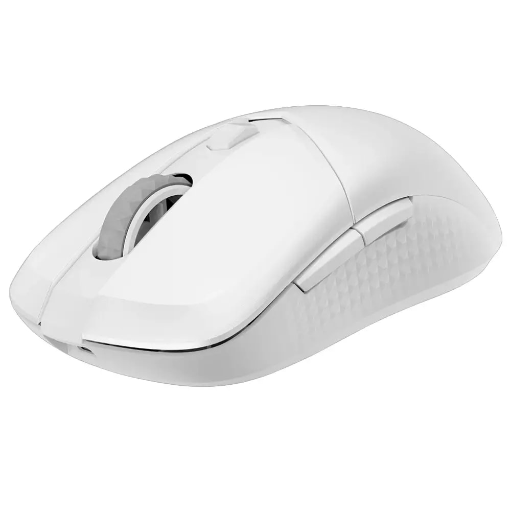 Product gallery prod_01KTKCRBSQ6R8Z69VSQYDC629K-2