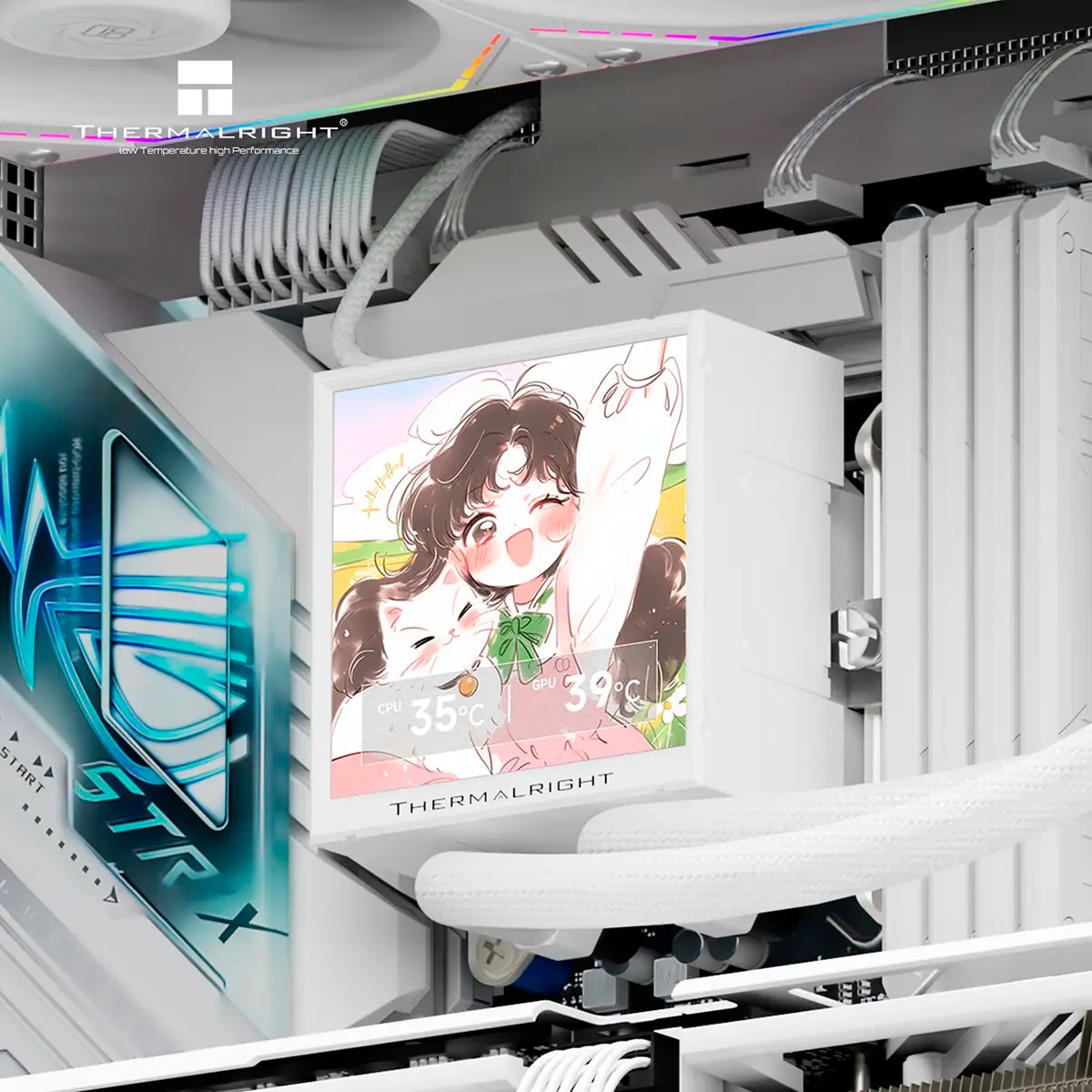 Product gallery prod_01KTKDBNCCNXXNS9FSPBQRB1HK-3