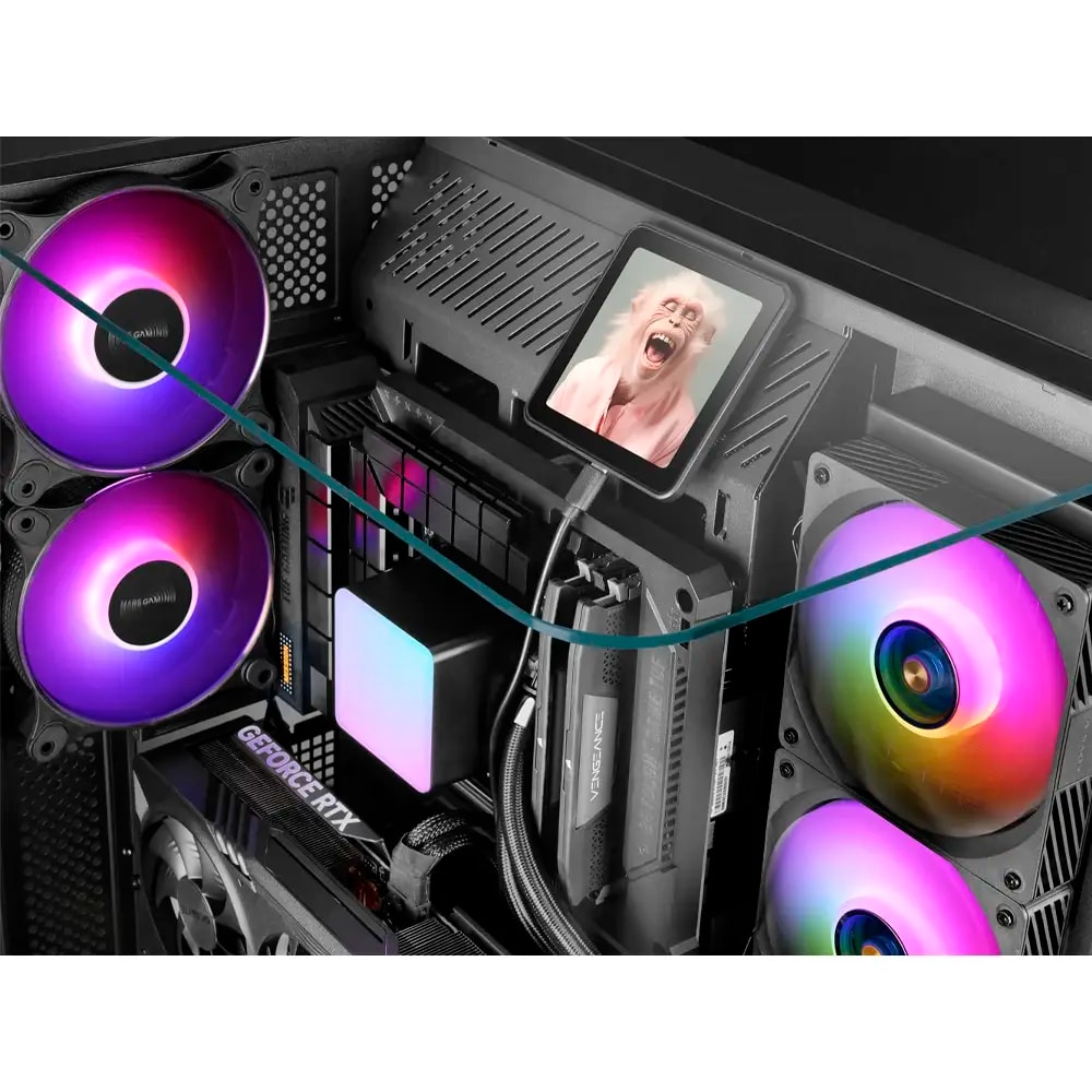 Product gallery prod_01KTKCVV53BQF6K52D4CHSC4VA-2