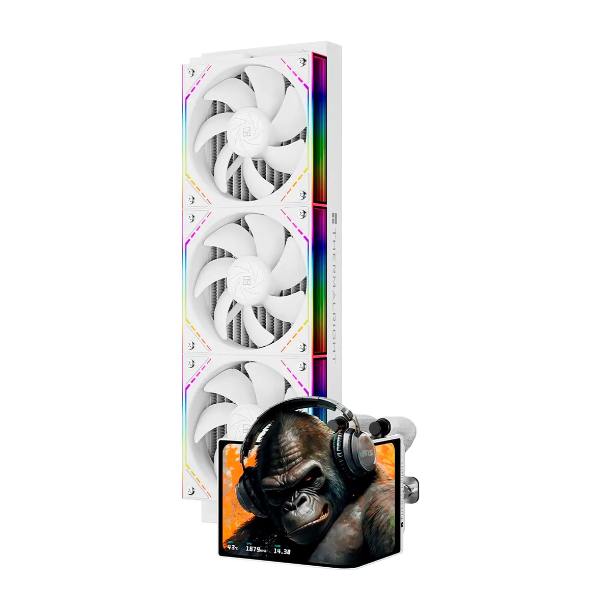 Product gallery prod_01KTKDBKR08BDG39FC1X57D2WC-1