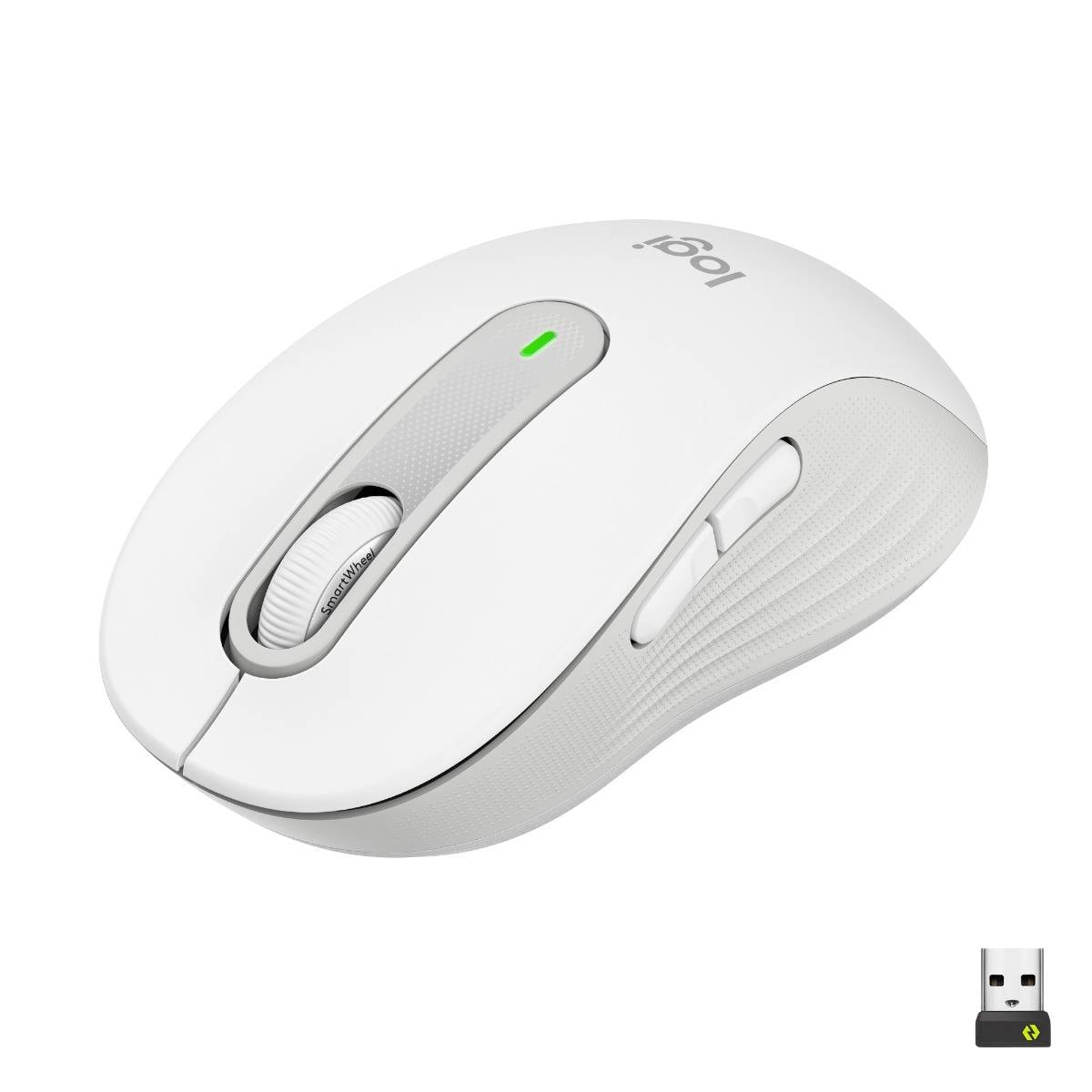 Product gallery prod_01KTKBZETW6E3E1YTPAV0NCA1A-0