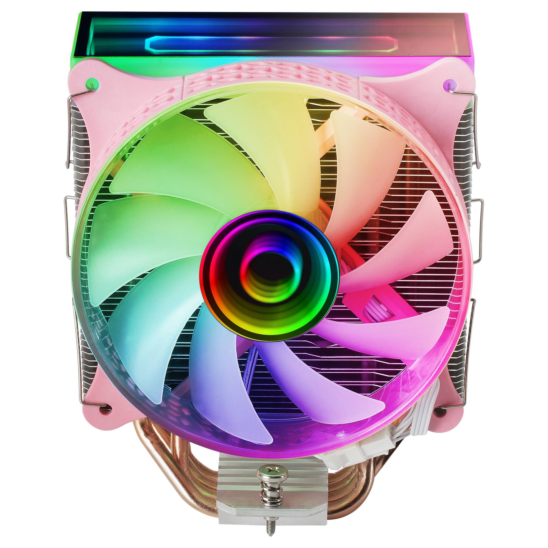 Product gallery prod_01KTKCMW0GCVMDVNP7GS6F98J3-1