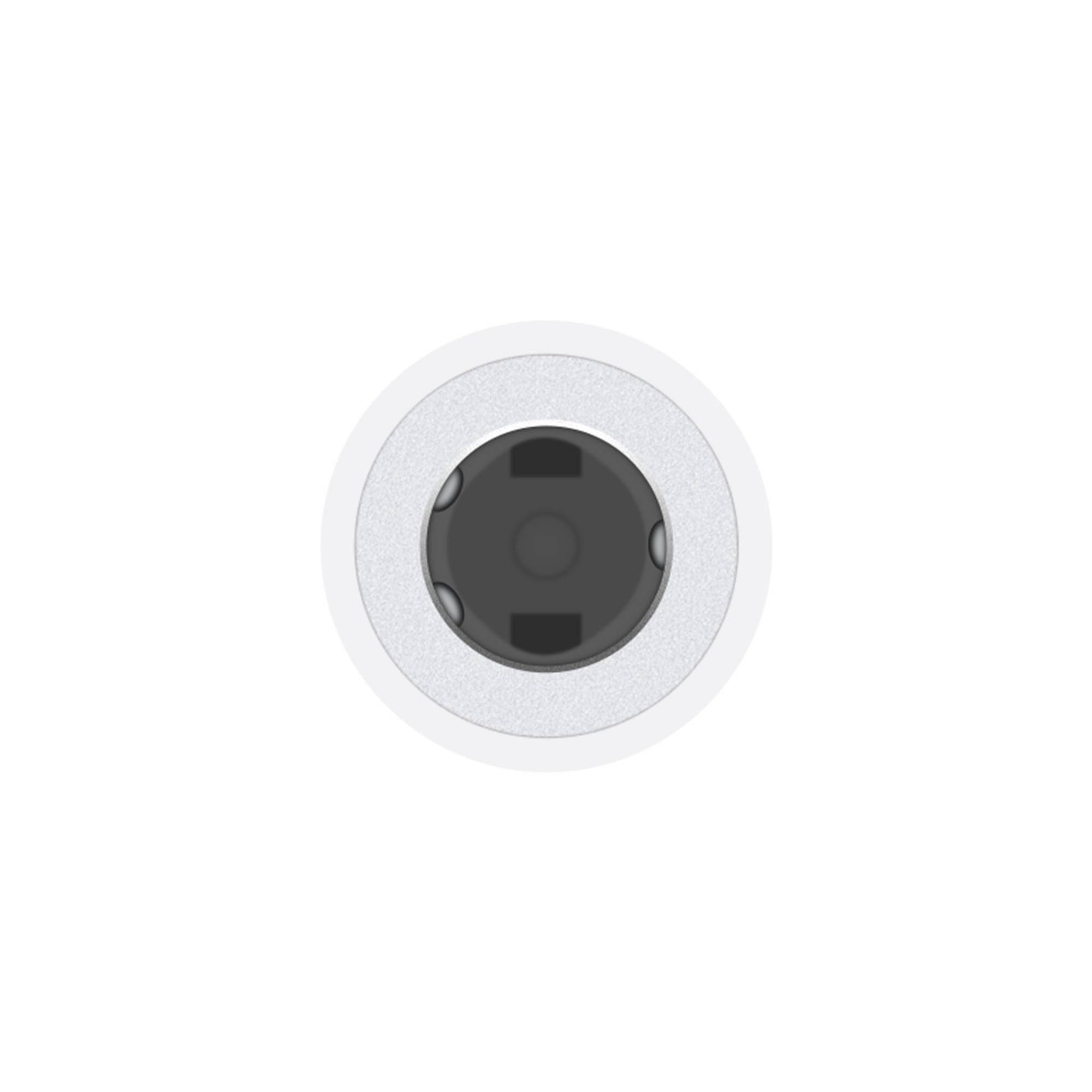 Product gallery prod_01KTKCJWCJ07Z9WT5V84BZJHKN-2