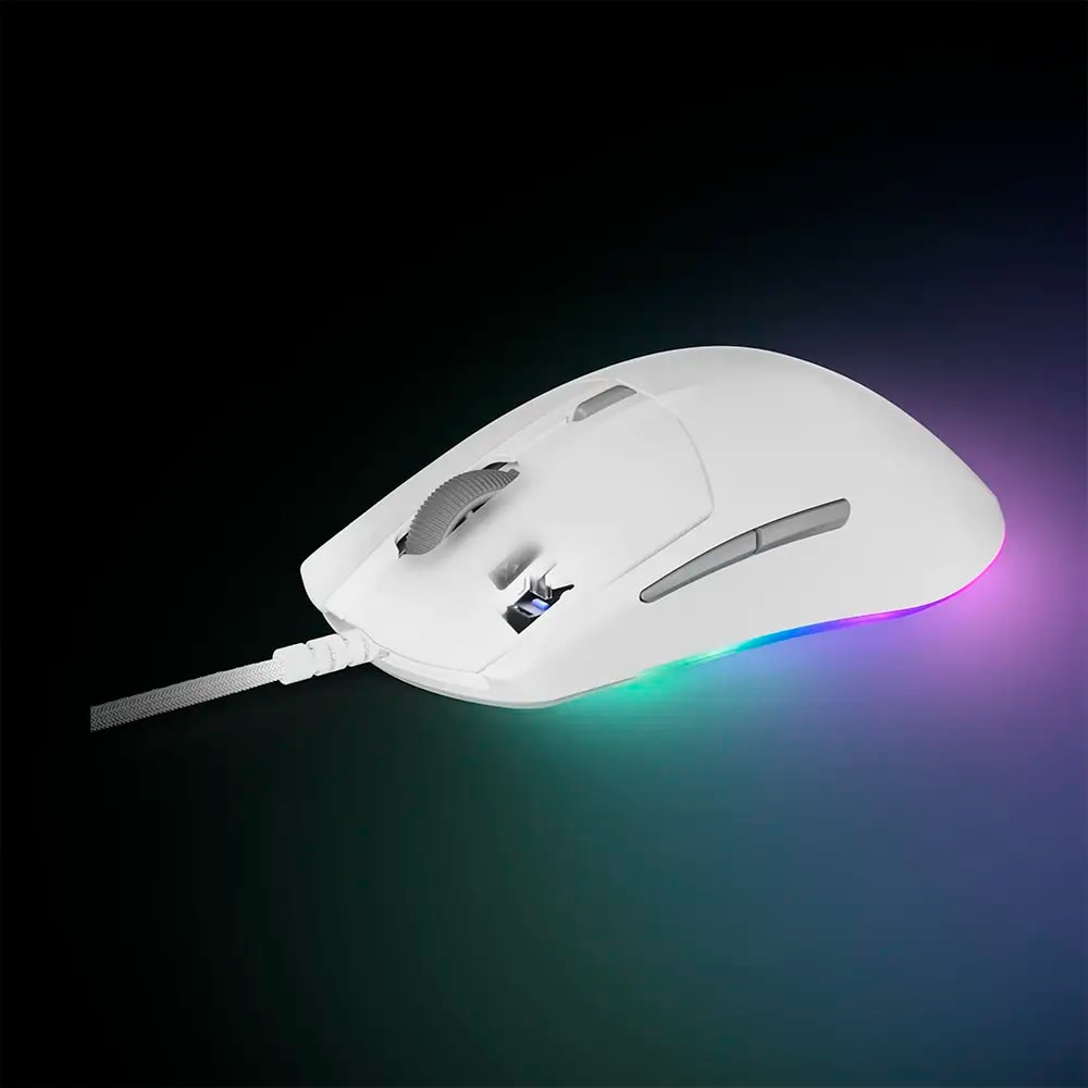 Product gallery prod_01KTKCQJJRE128P7YVY9K3K095-1