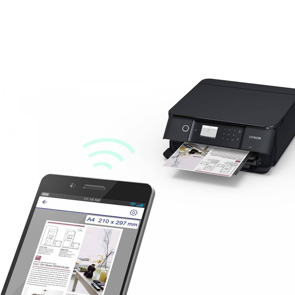Product gallery prod_01KTKD1CT8HBFHBTKFYKQ3PZDH-2