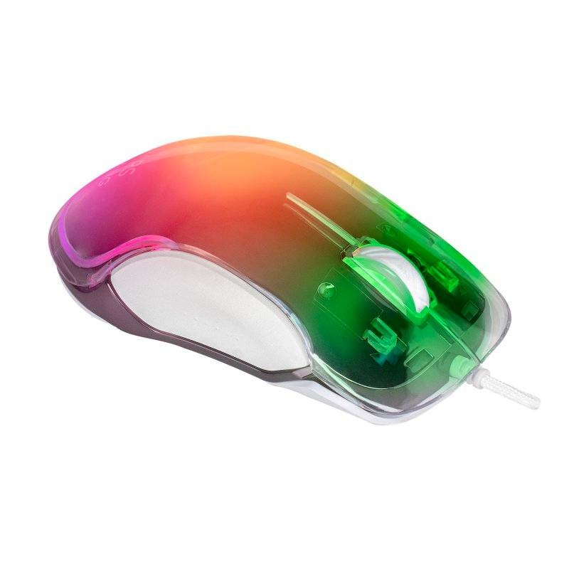 Product gallery prod_01KTKC1AN8045GT5XEX0CHXT6J-4
