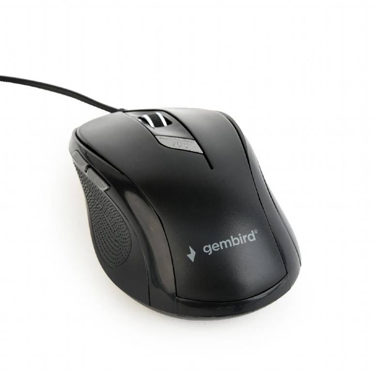 Product gallery prod_01KTKBZ5W9592QBC2BJFMZPV9P-0