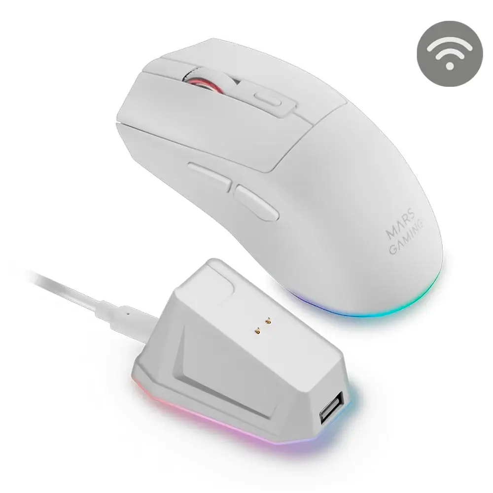 Product gallery prod_01KTKCTJC0WW89VG4RH7DW9SVS-0