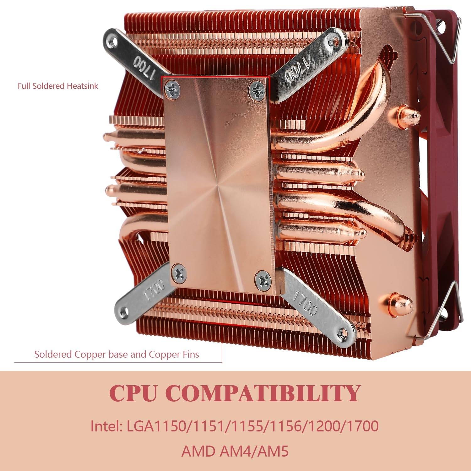 Product gallery prod_01KTKCM4X1AVWBDYG2MDH0FP7B-2