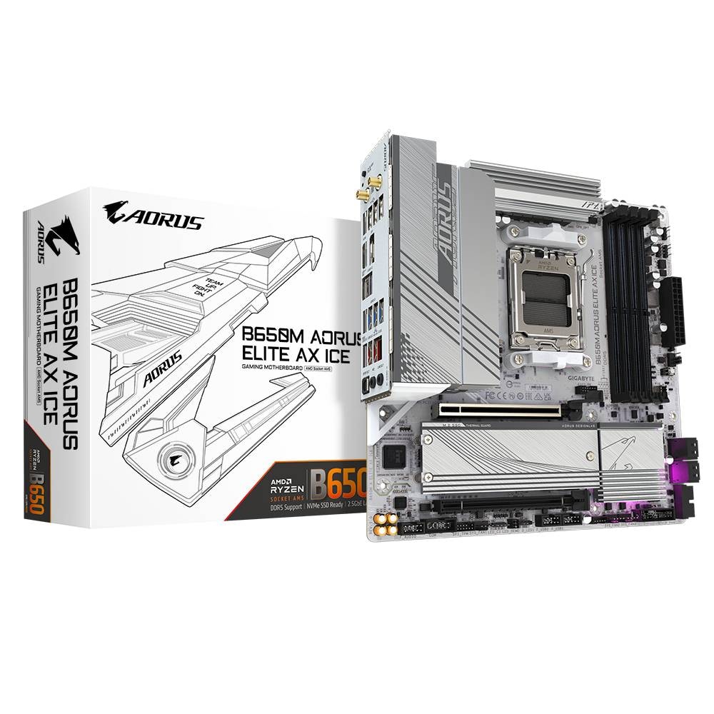 Product gallery prod_01KTKDEP97XCQZM2RPW2XDS210-0