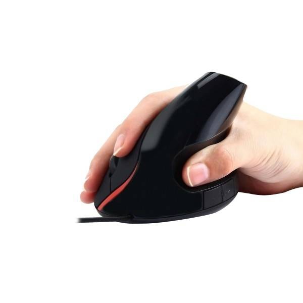 Product gallery prod_01KTKBXRAG6EM4F9YZXAH2T288-1