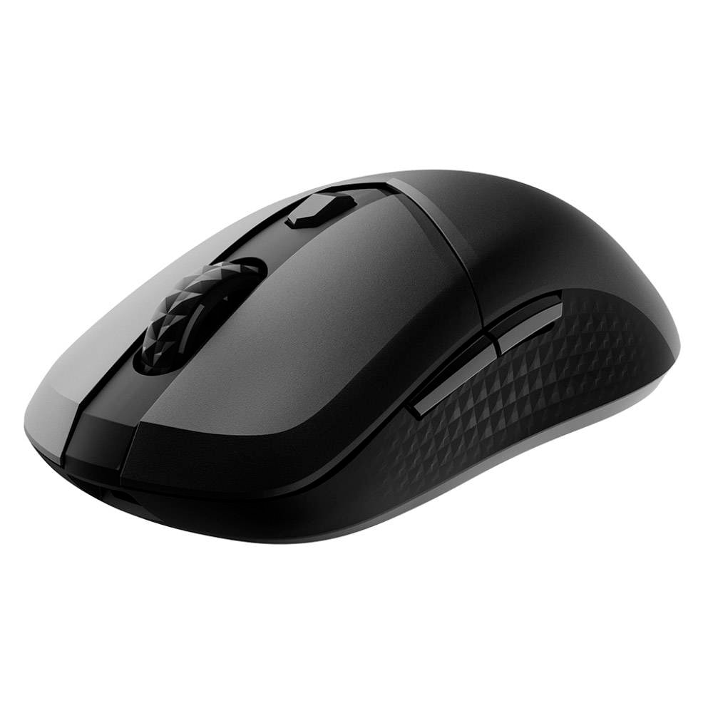 Product gallery prod_01KTKCE611F6PM9P3FY7J7DADV-2