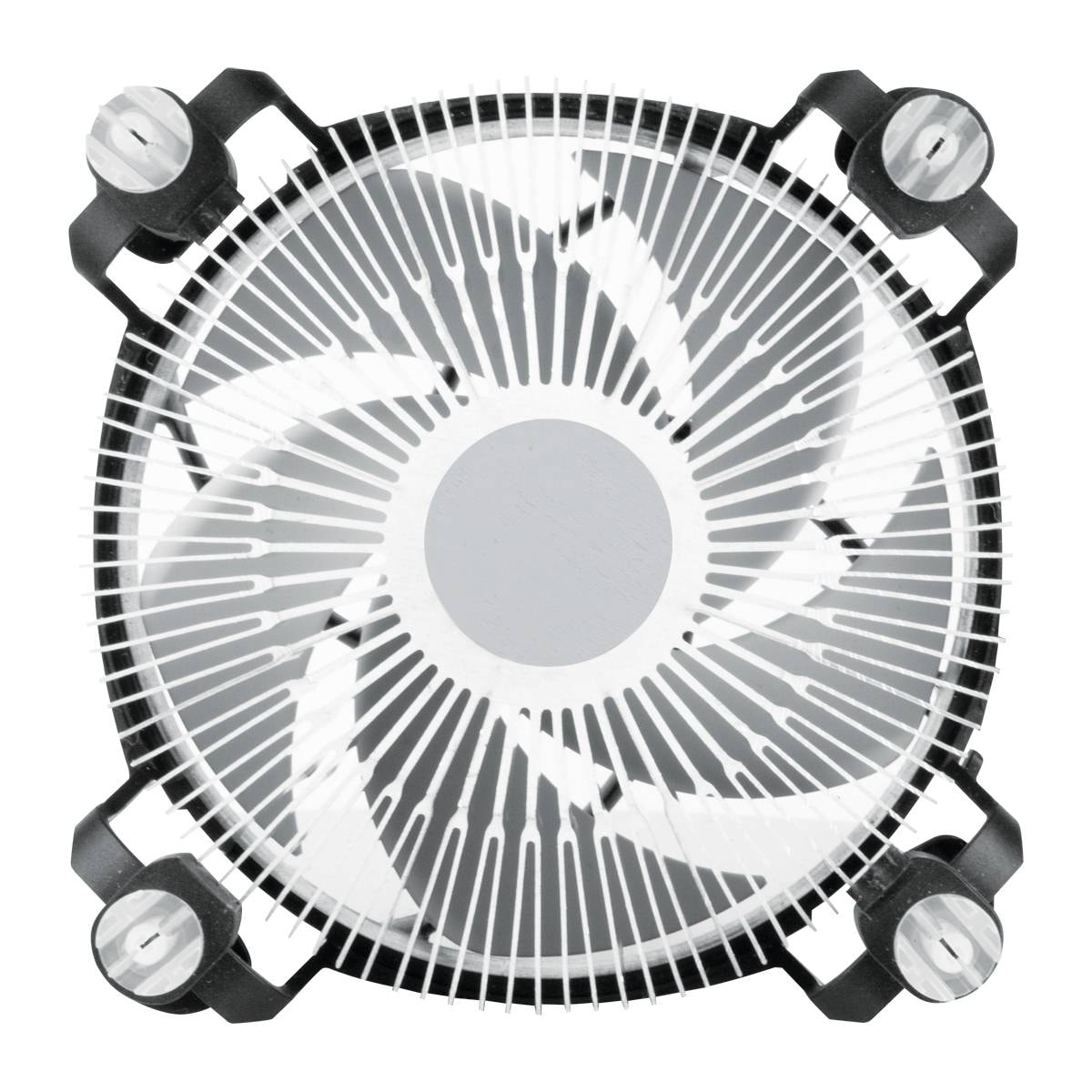 Product gallery prod_01KTKCTAN6PWAJB29GKANCR54Q-5