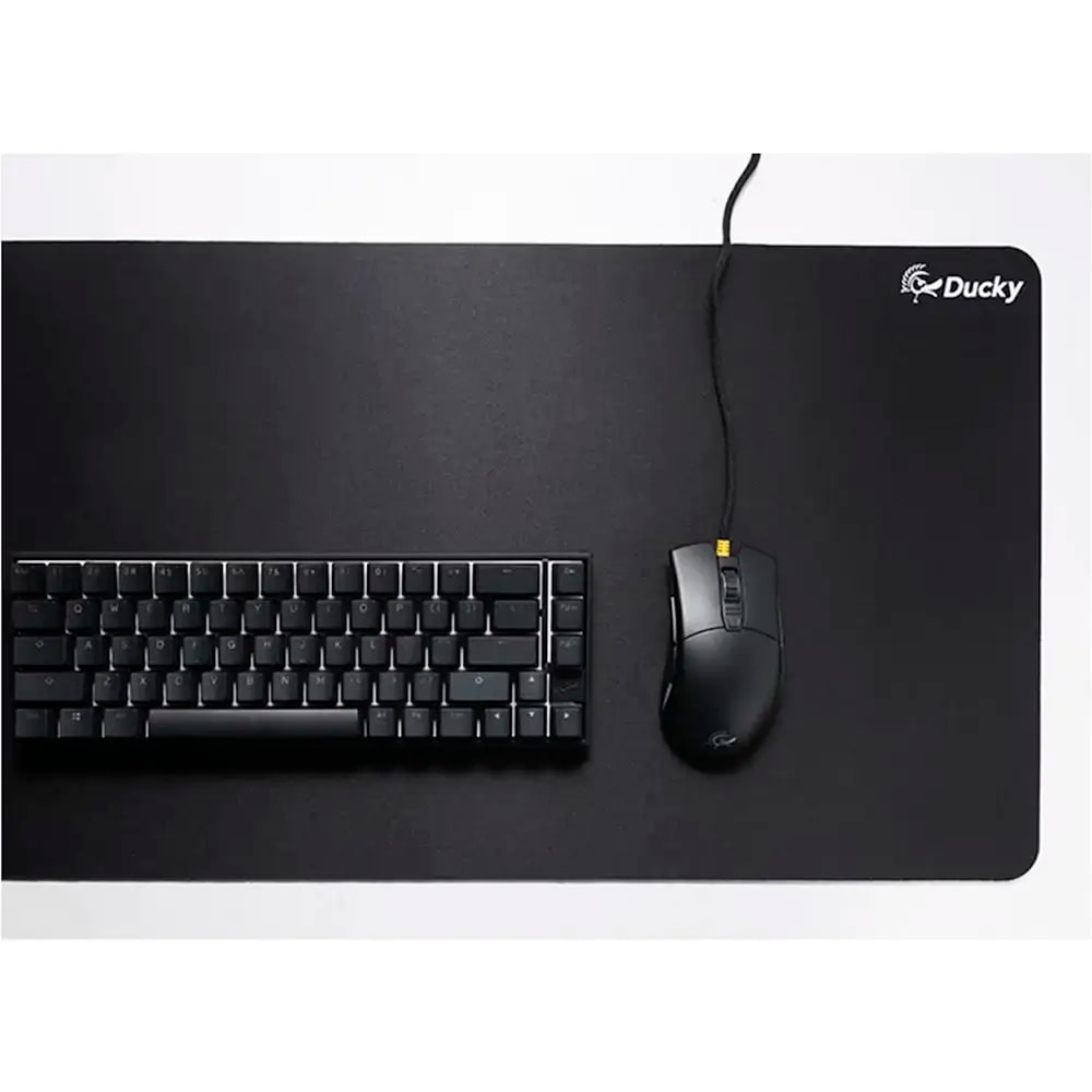 Product gallery prod_01KTKD1WXN51FRZPX3ZWBMSK0R-2