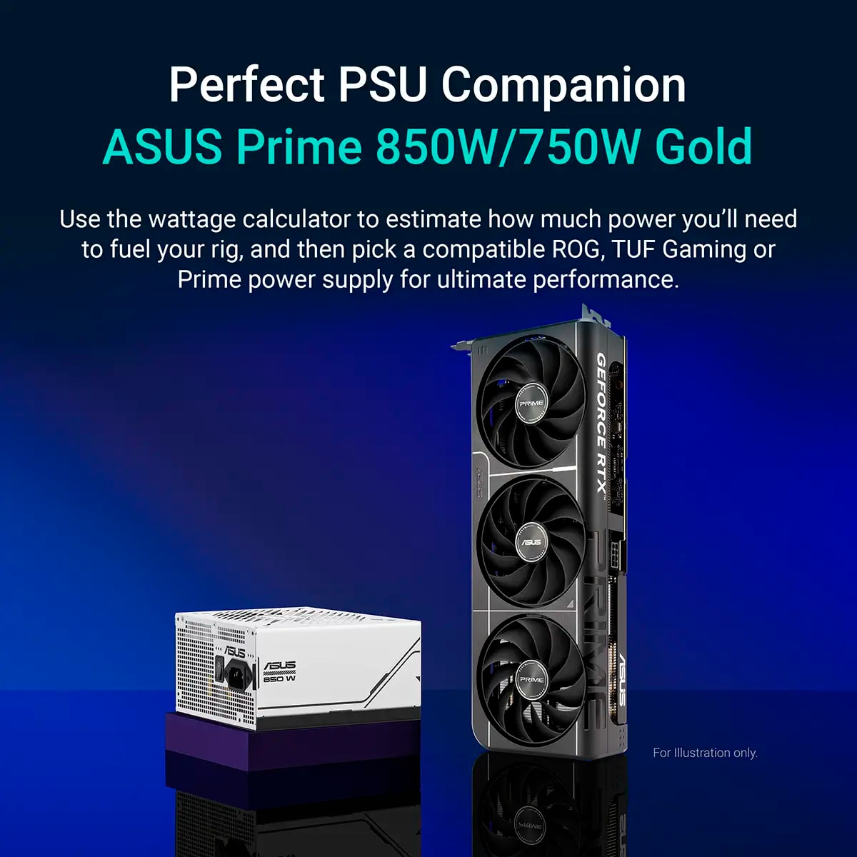 Product gallery prod_01KTKCV1TJKQWMWCRT5HD4PY99-5