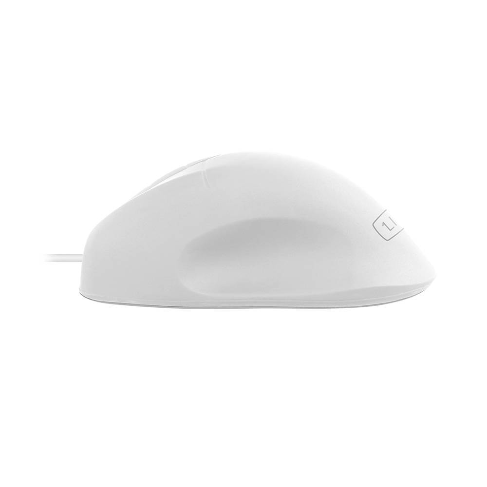 Product gallery prod_01KTKC32P1HMZYVM5XM8832C8A-2