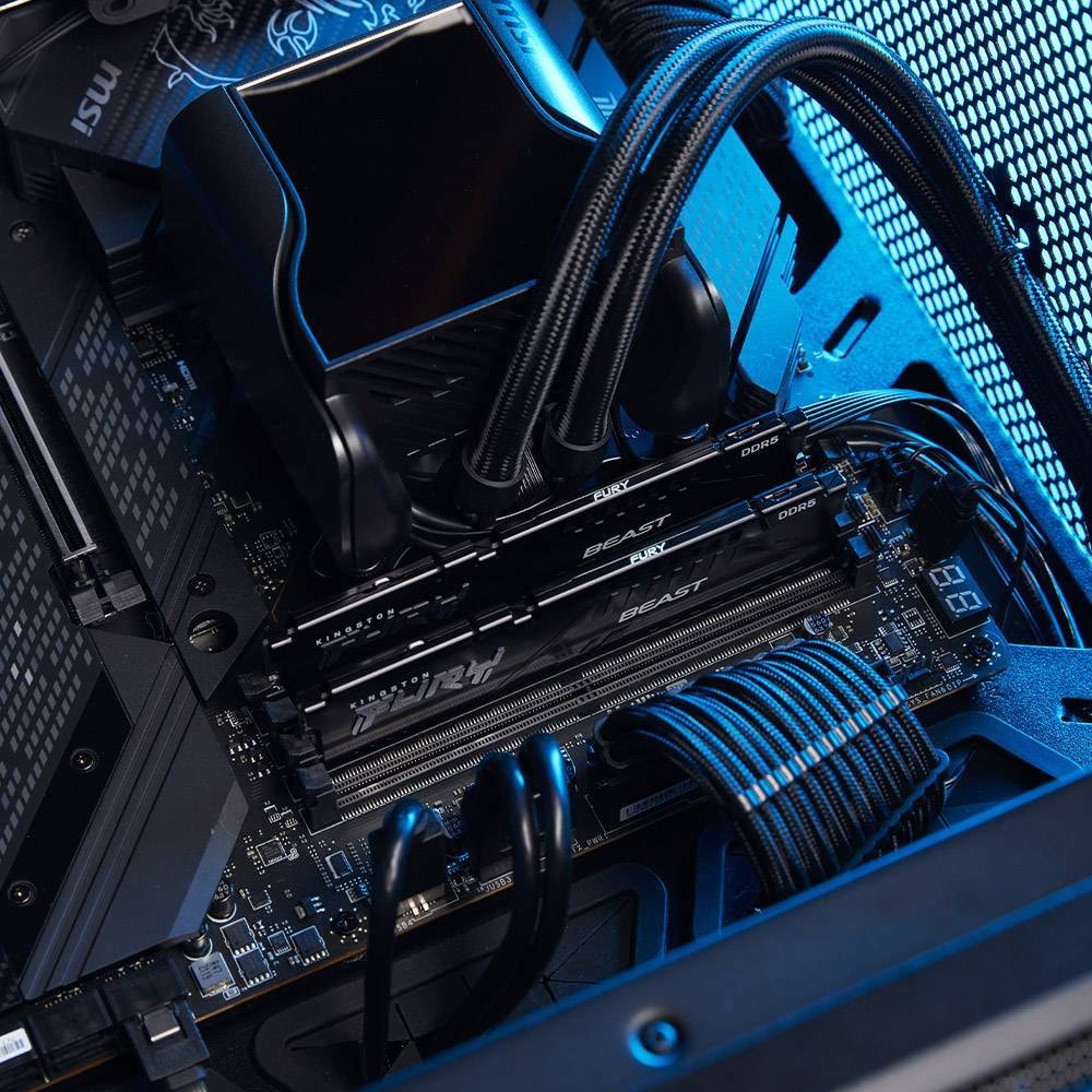 Product gallery prod_01KTKCVSHNQ8DCCWZ0SQHDQFHJ-1