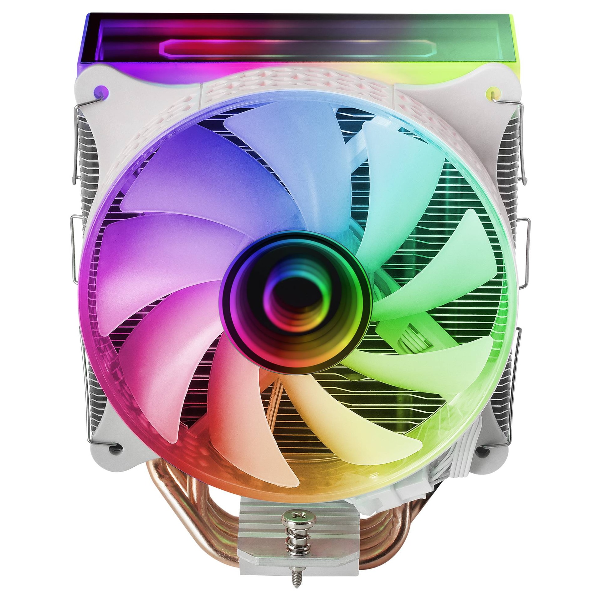 Product gallery prod_01KTKCSBK69G1G39W1RBABE4TM-1
