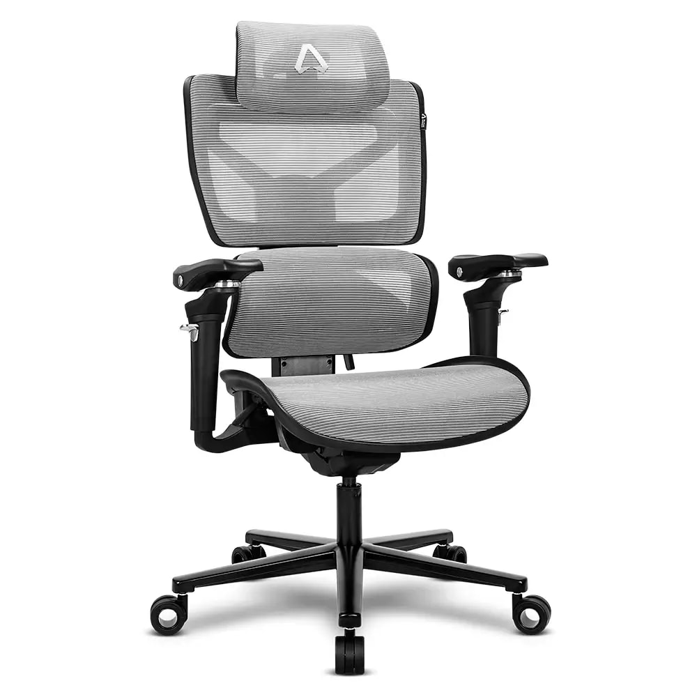 Product gallery prod_01KTKD1XVAH2BZJFPER27S49K2-0