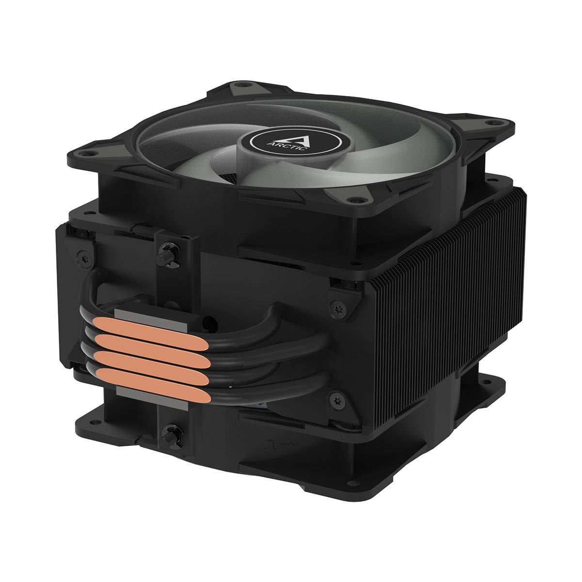 Product gallery prod_01KTKBWF49T2W1G0C8MTMHYMDZ-5