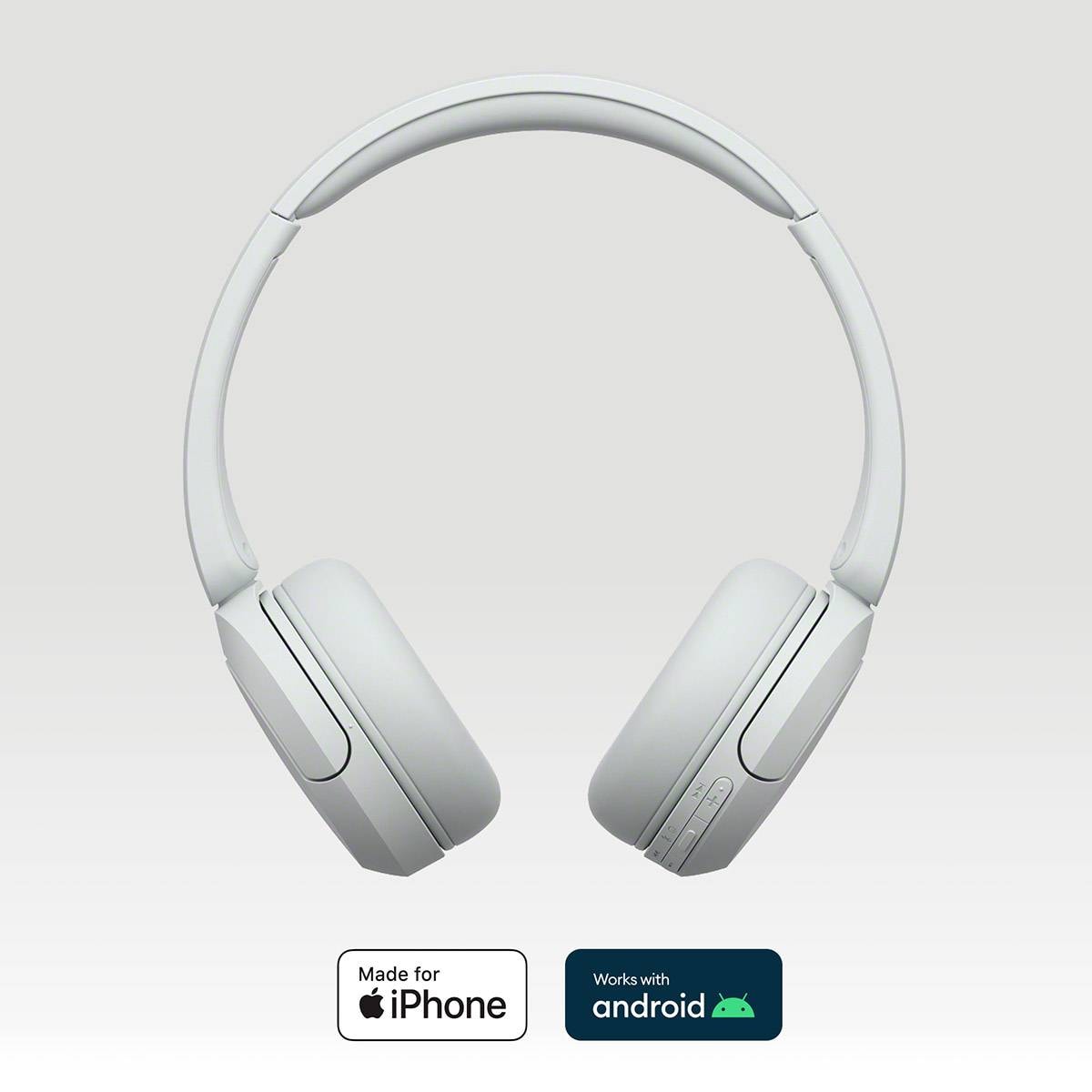 Product gallery prod_01KTKD3J5Y02FWK8V2J91BEQ85-1