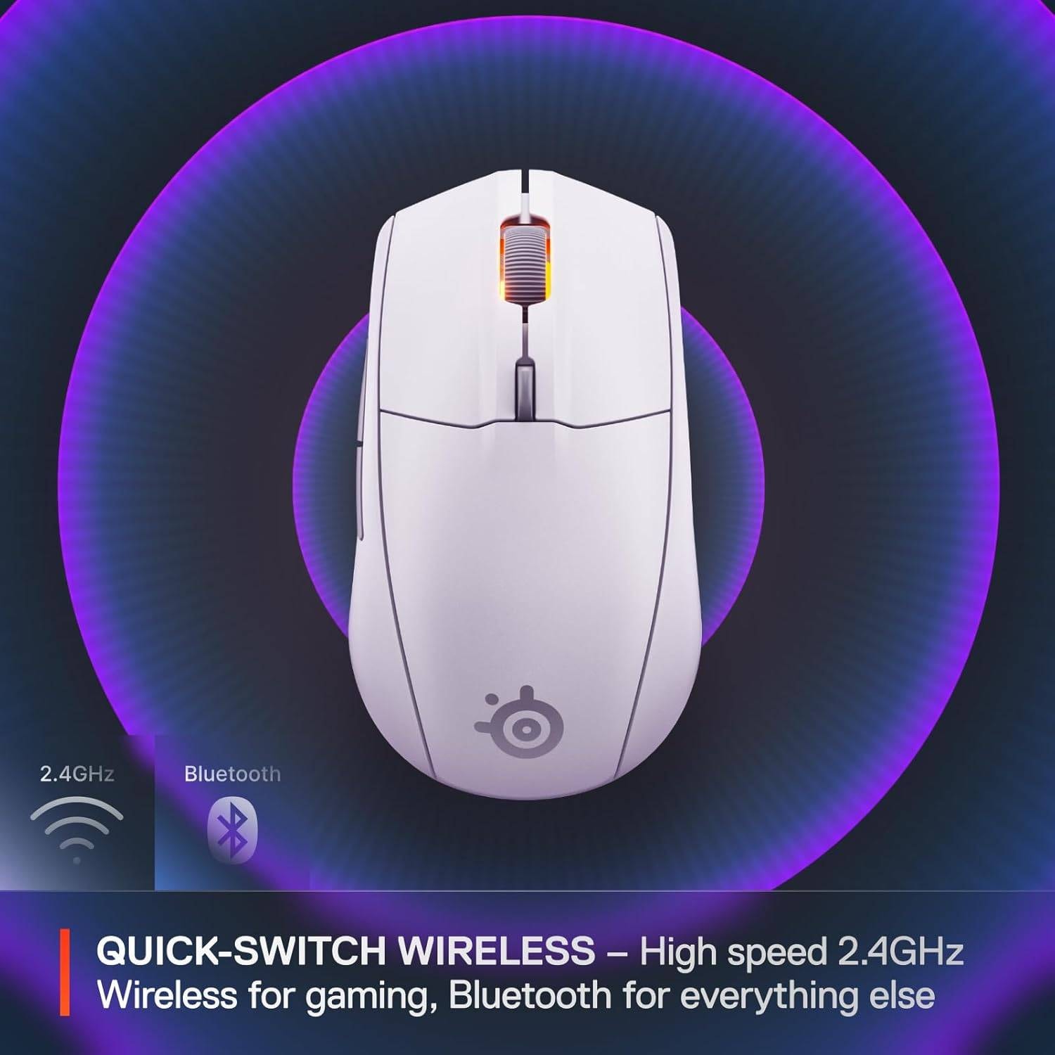 Product gallery prod_01KTKCQJSQKYFY445XDG1JVM12-2