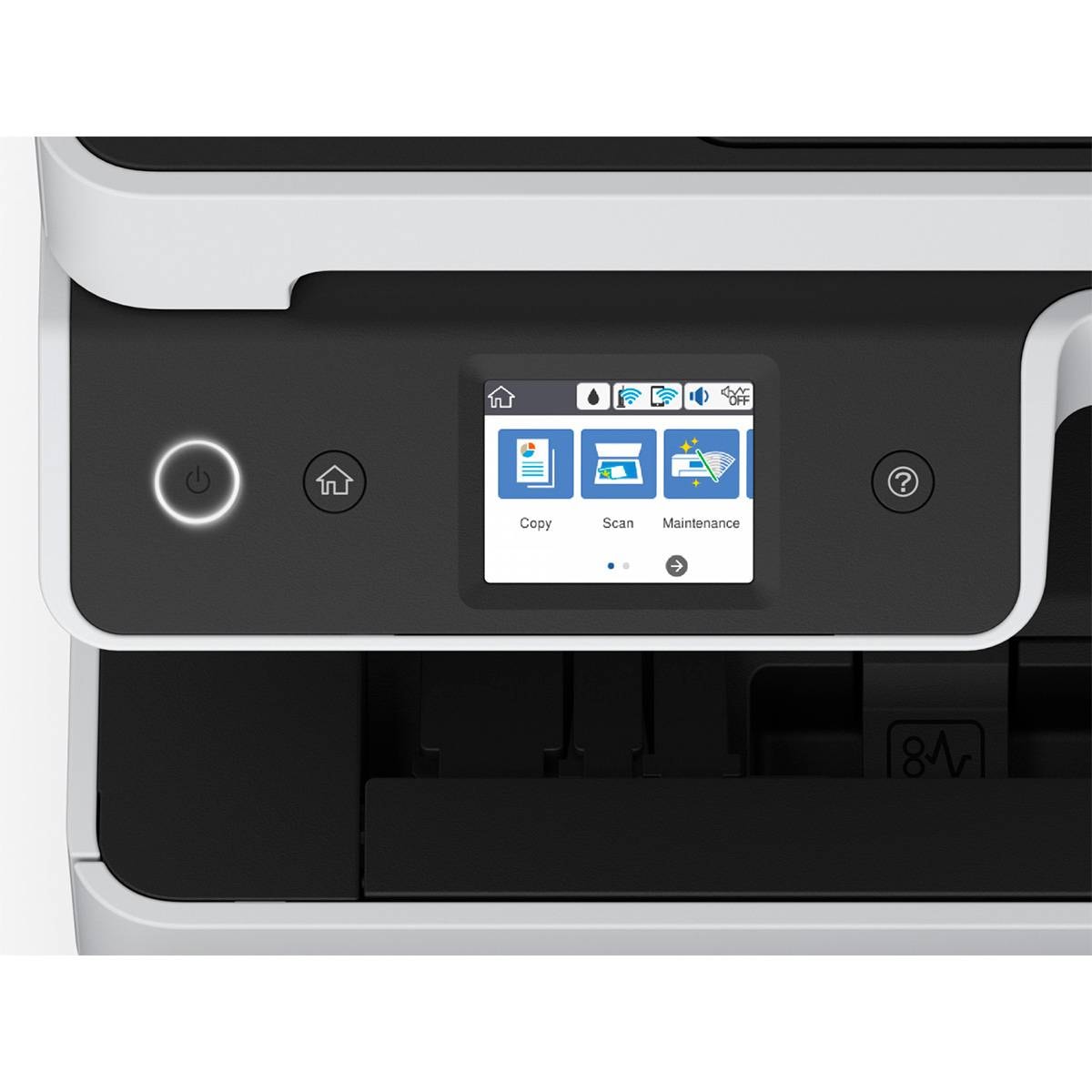 Product gallery prod_01KTKC1B7ZWQXXP9VSQ42WEH0G-1