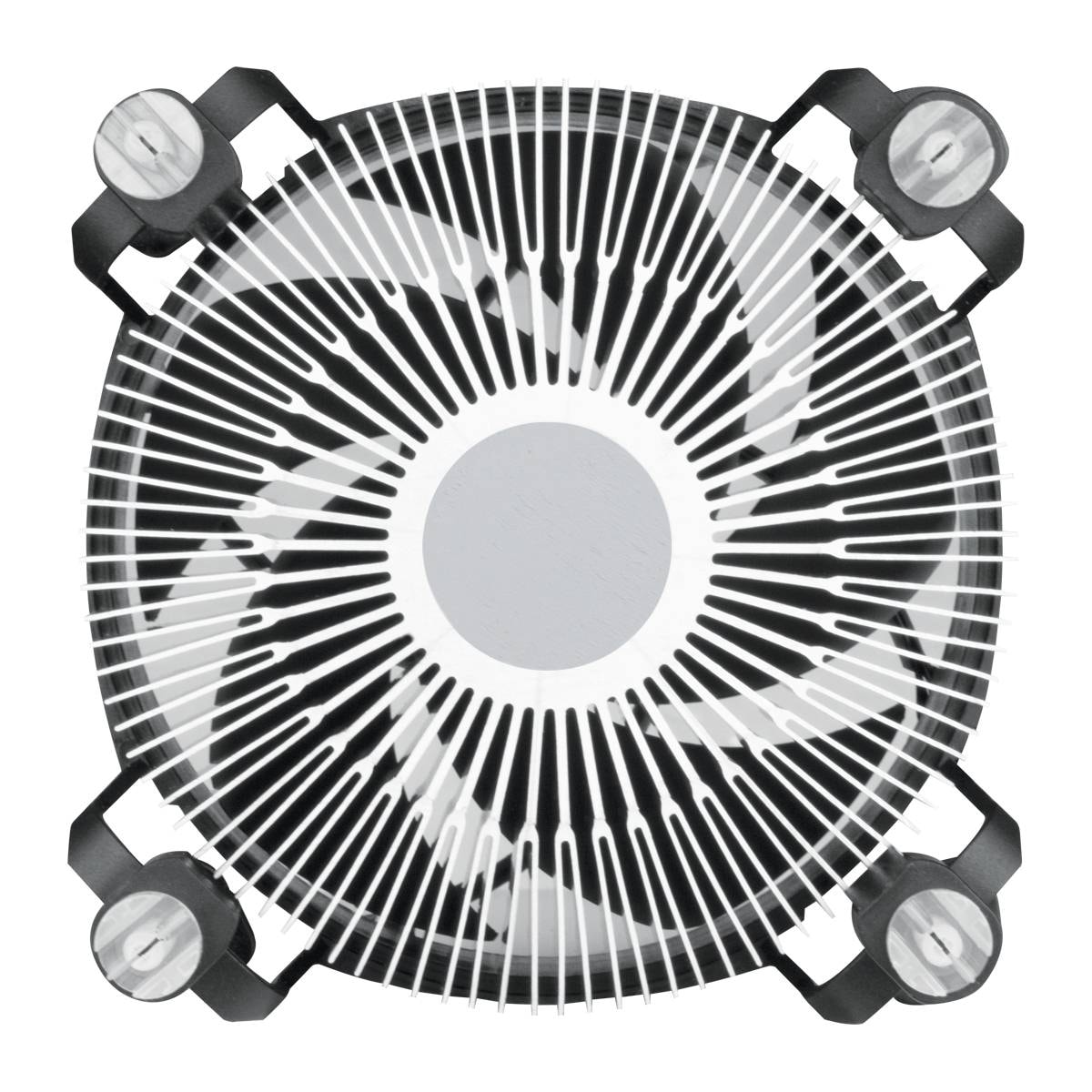 Product gallery prod_01KTKCT9YS07XBK59BF2510H1F-5