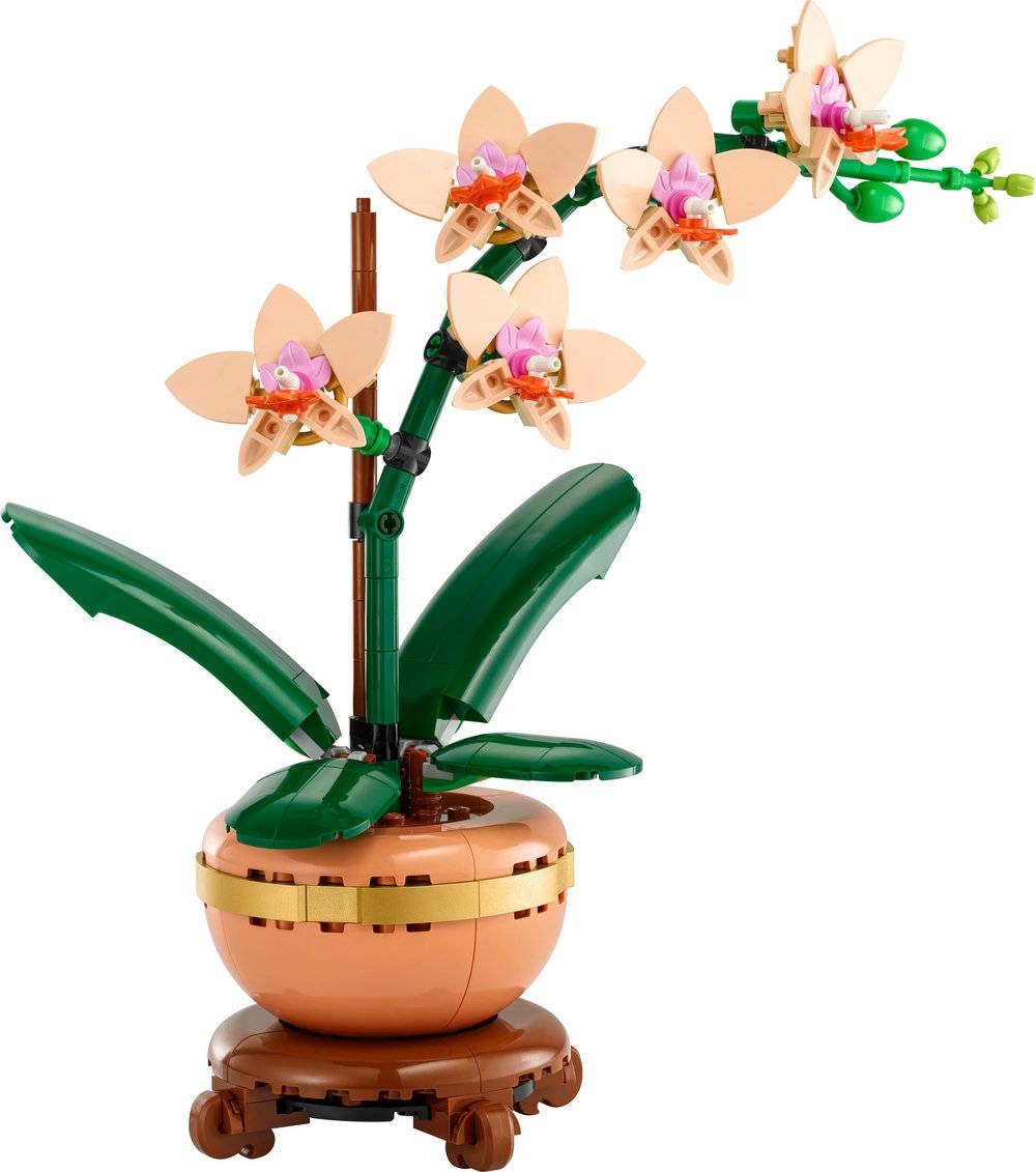 Product gallery prod_01KTKCF667S9K53TF6PQEN1DBV-1