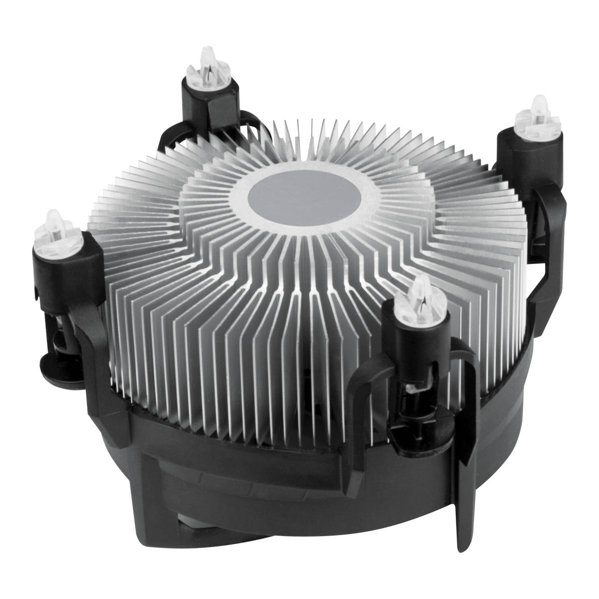 Product gallery prod_01KTKCT9YS07XBK59BF2510H1F-2