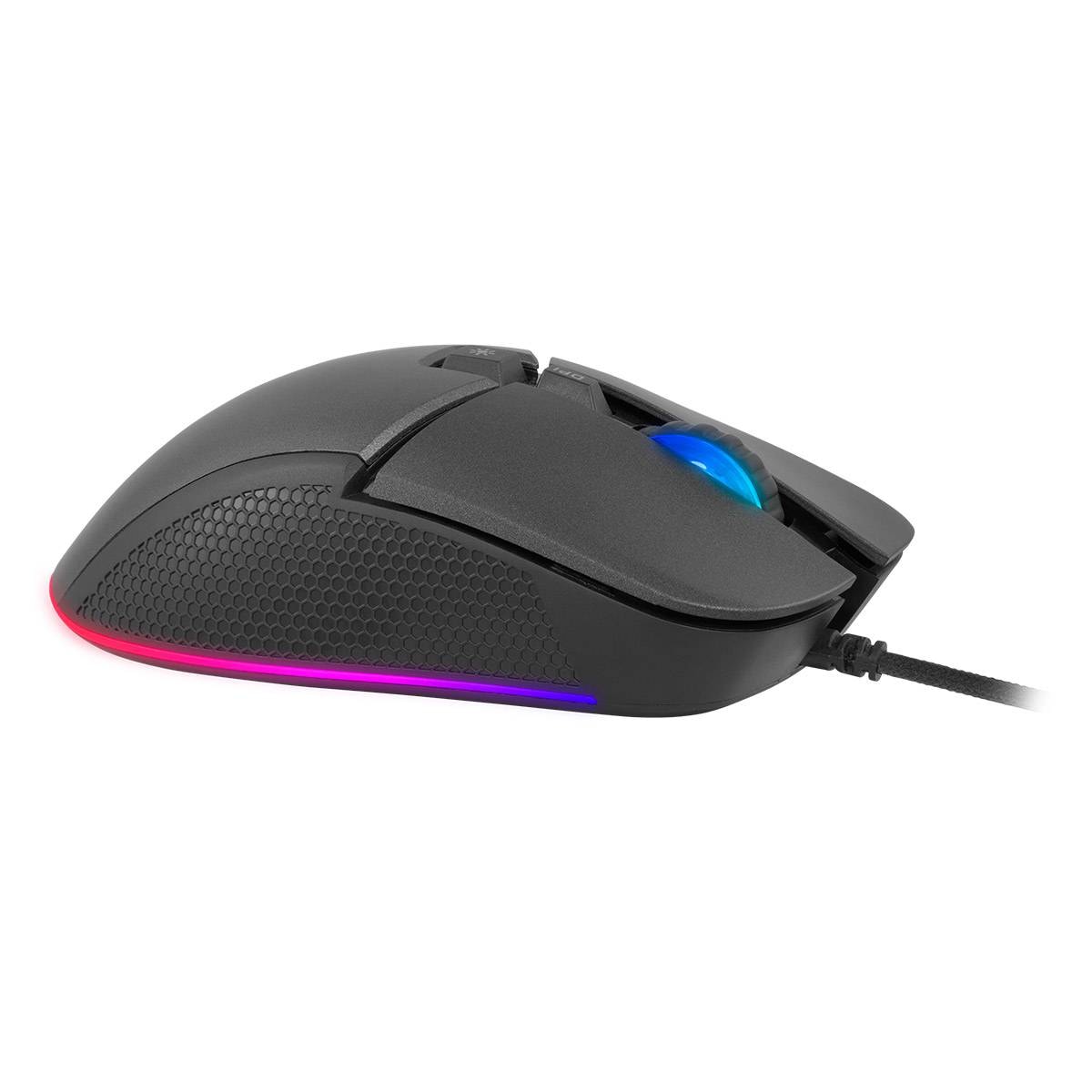 Product gallery prod_01KTKC43DGDTB317GFWVS3PDPX-1