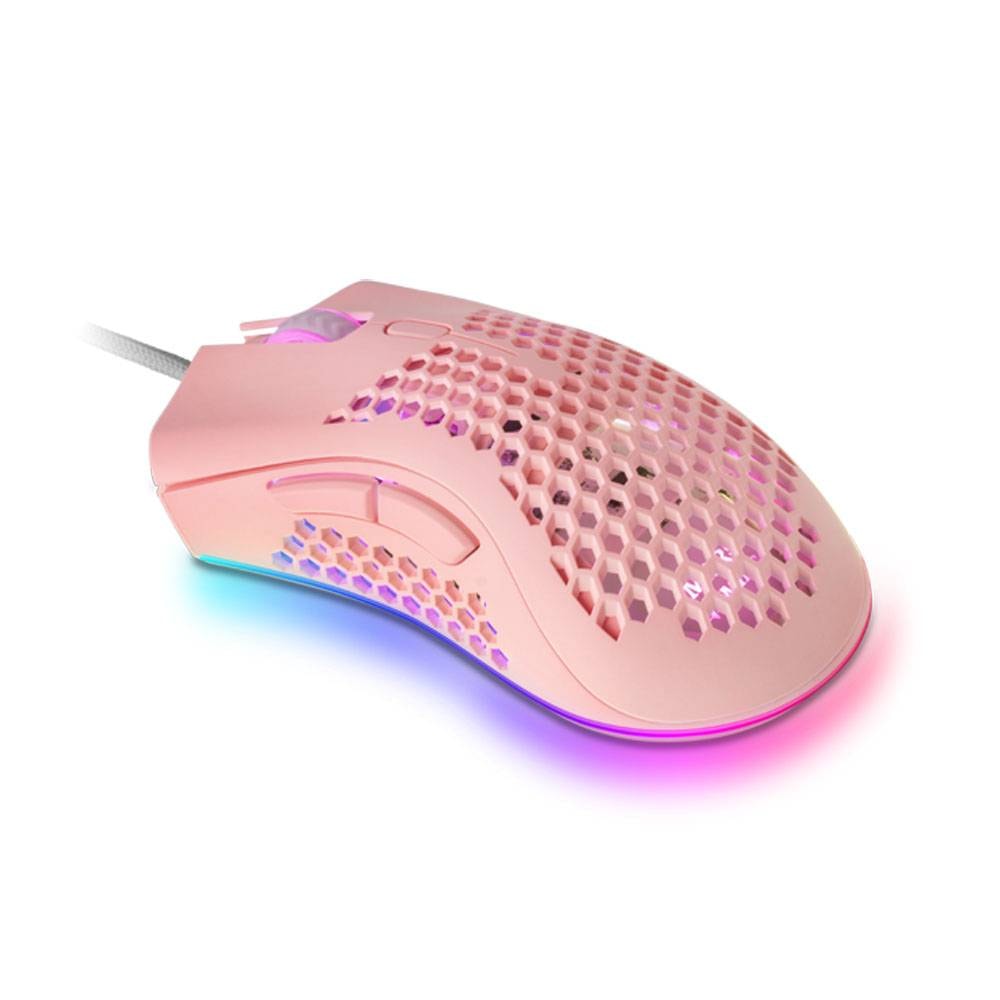 Product gallery prod_01KTKD41STAWMKWQK1WN7R9NTN-1