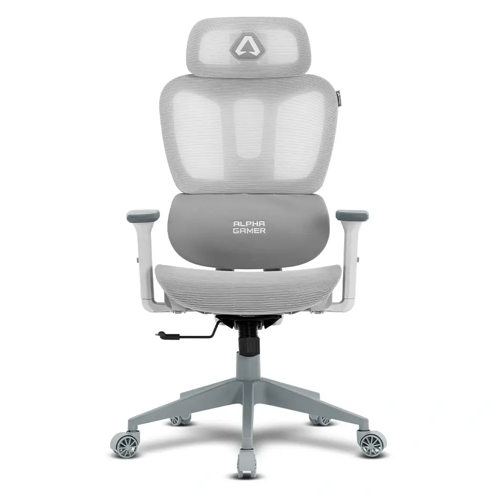 Product gallery prod_01KTKD1W5AEQSXK3R7K5CGGD9F-1