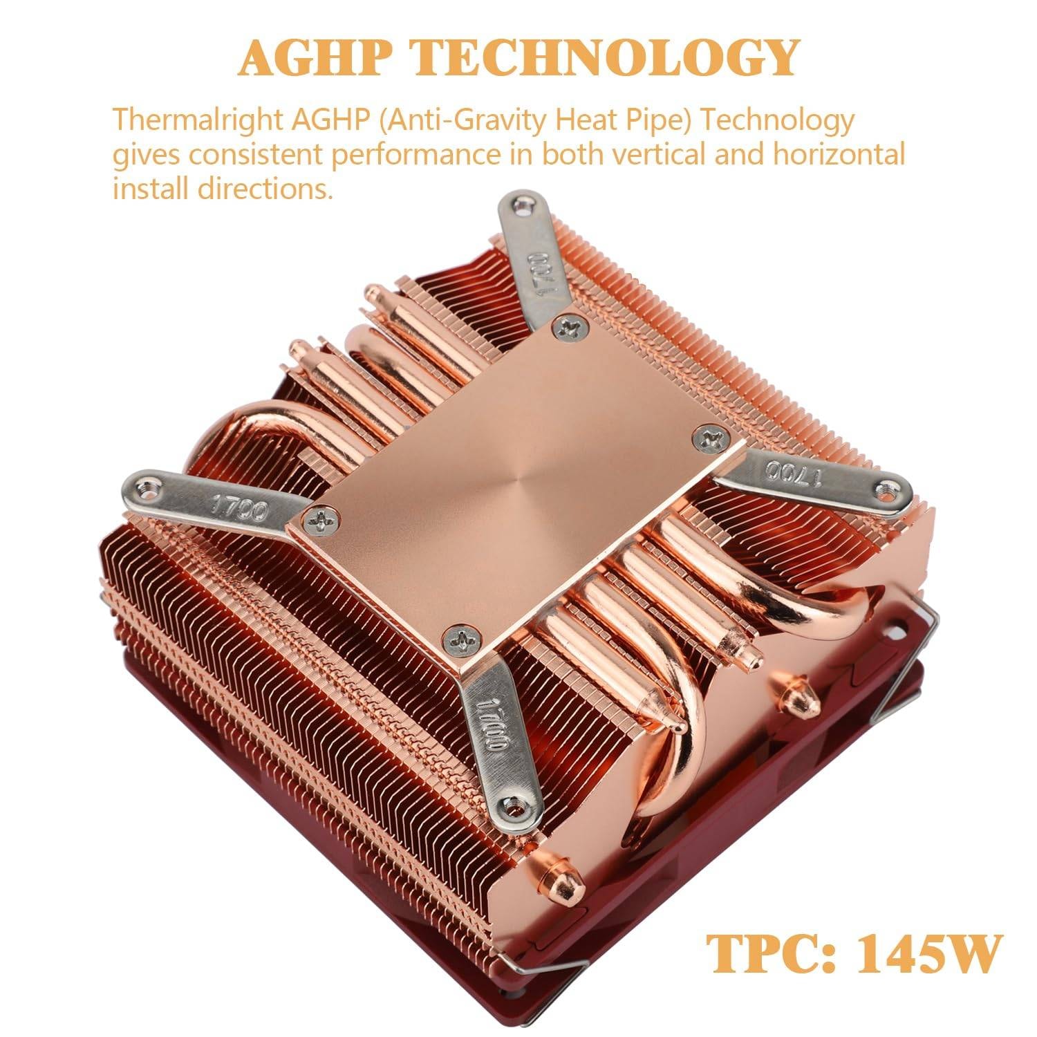 Product gallery prod_01KTKCM4X1AVWBDYG2MDH0FP7B-3